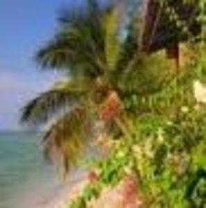 Meet your Posher, Hafida